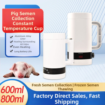 Kauss cūku spermas savākšanai ar konstantu temperatūru, iekārta mājdzīvnieku audzēšanai, spermas iegūšanai un uzglabāšanai