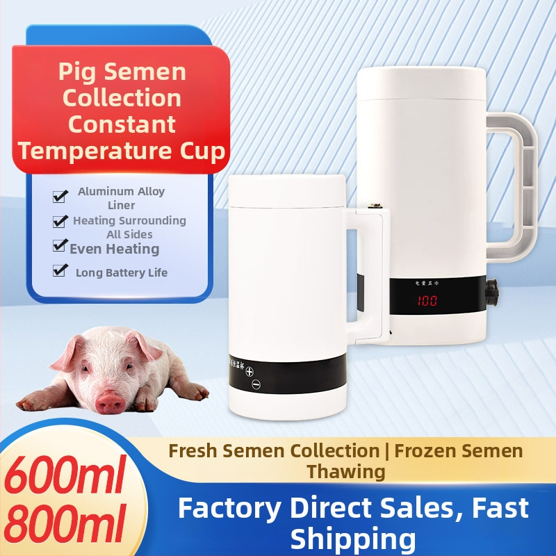 Kauss cūku spermas savākšanai ar konstantu temperatūru, iekārta mājdzīvnieku audzēšanai, spermas iegūšanai un uzglabāšanai