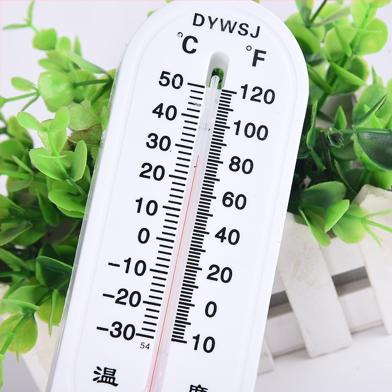 Nástenný vlhkomer a teplomer - vnútorná/vonkajšia teplota, DYWSJ, bez batérie, pre výučbu, chov a výsadbu