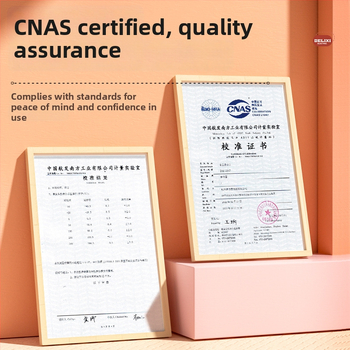 Delixi potravinový teplomer: rozlíšenie 0,1°C, sonda z 304 nerezovej ocele, IPX5 vodotesný, balené po 500 kusov