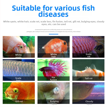 Akvarijná soľ – prírodná morská soľ, Značka Blue Treasure, Kategória: Iné akvarijné pomôcky