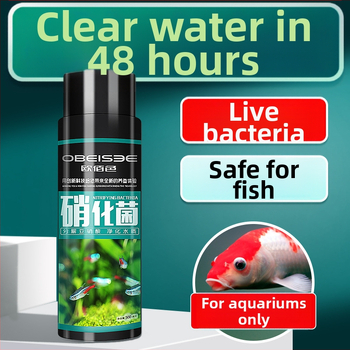 Nitrifikačné baktérie pre akvárium — stabilizátor kvality vody a trávenie rybích odpadov pre okrasné ryby