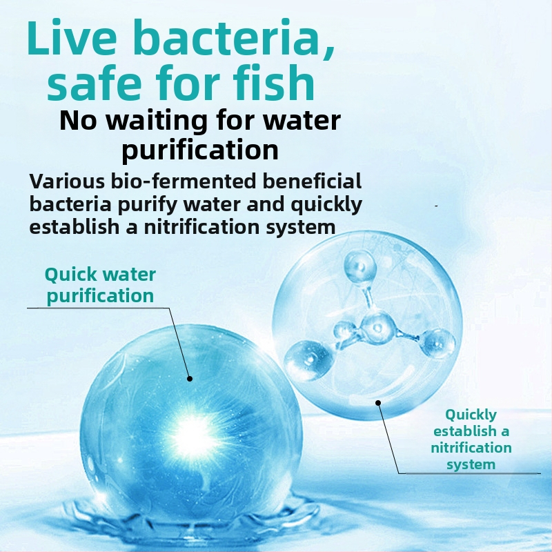 Nitrifikačné baktérie pre akvárium — stabilizátor kvality vody a trávenie rybích odpadov pre okrasné ryby