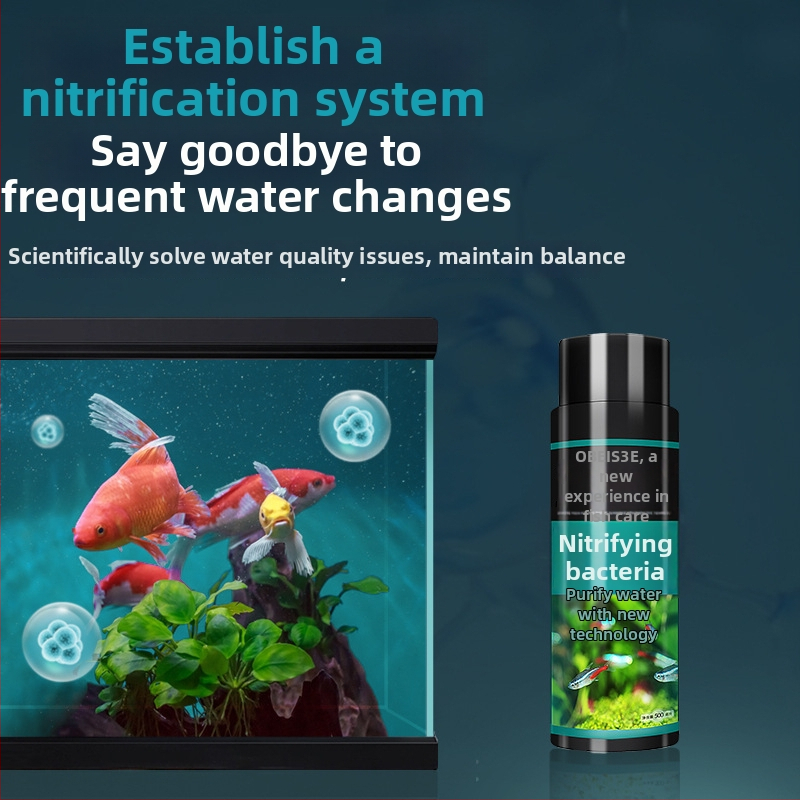 Nitrifikačné baktérie pre akvárium — stabilizátor kvality vody a trávenie rybích odpadov pre okrasné ryby
