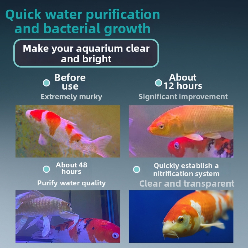 Nitrifikačné baktérie pre akvárium — stabilizátor kvality vody a trávenie rybích odpadov pre okrasné ryby