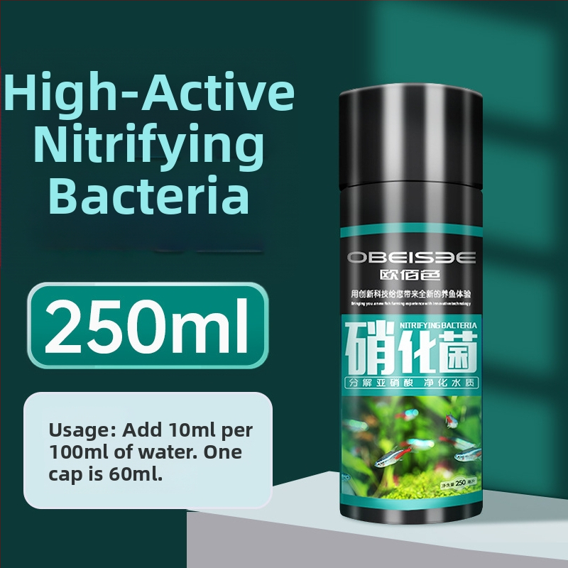 Nitrifikačné baktérie pre akvárium — stabilizátor kvality vody a trávenie rybích odpadov pre okrasné ryby