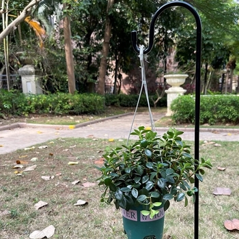 Cârlig din fier în stil cioban, lanternă solară pentru exterior și hrănitoare pentru păsări