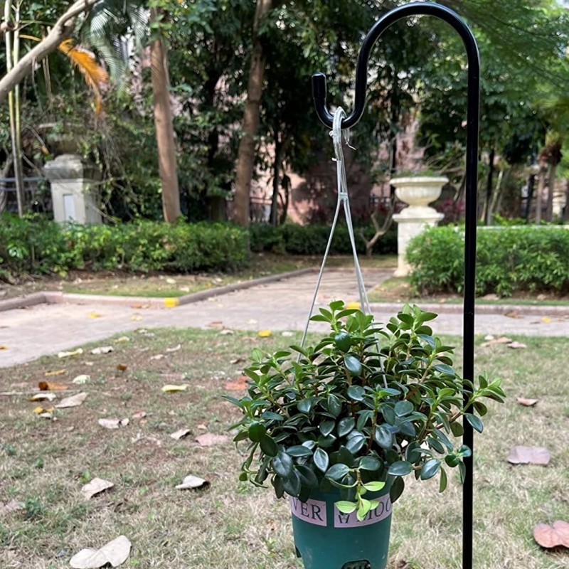 Cârlig din fier în stil cioban, lanternă solară pentru exterior și hrănitoare pentru păsări