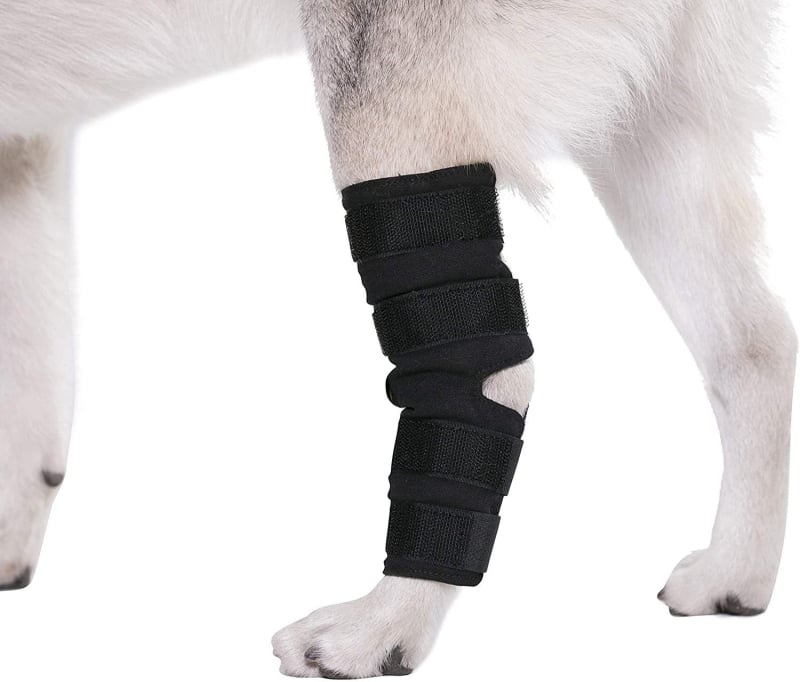 Προστατευτικά γόνατος σκύλου για άθληση και ανάρρωση – ανθεκτικά από πολυεστέρα, για γενική χρήση