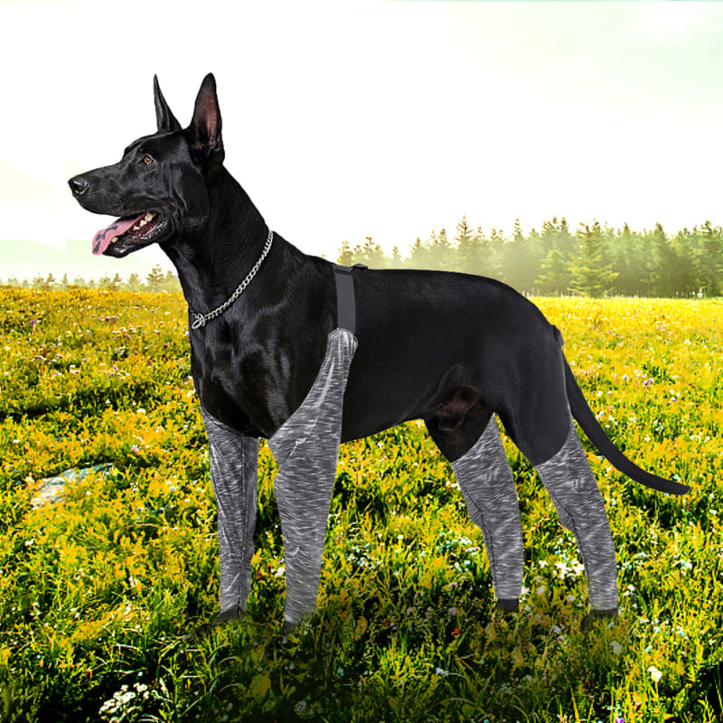 Μανσέτα ποδιού σκύλου – αδιάβροχη, αντιολισθητική, ζεστή, ανθεκτική στη φθορά – ύφασμα TPR