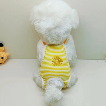 Hygienické nohavice pre mačky a psy počas menštruačného obdobia – priedušný polyester, voľný štýl, unisex