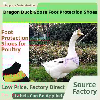 Topánky na ochranu labiek pre kačice a husy – nylon, vonkajšie použitie, pôvod Šandong