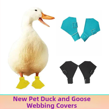 Topánky na ochranu labiek pre kačice a husy – nylon, vonkajšie použitie, pôvod Šandong