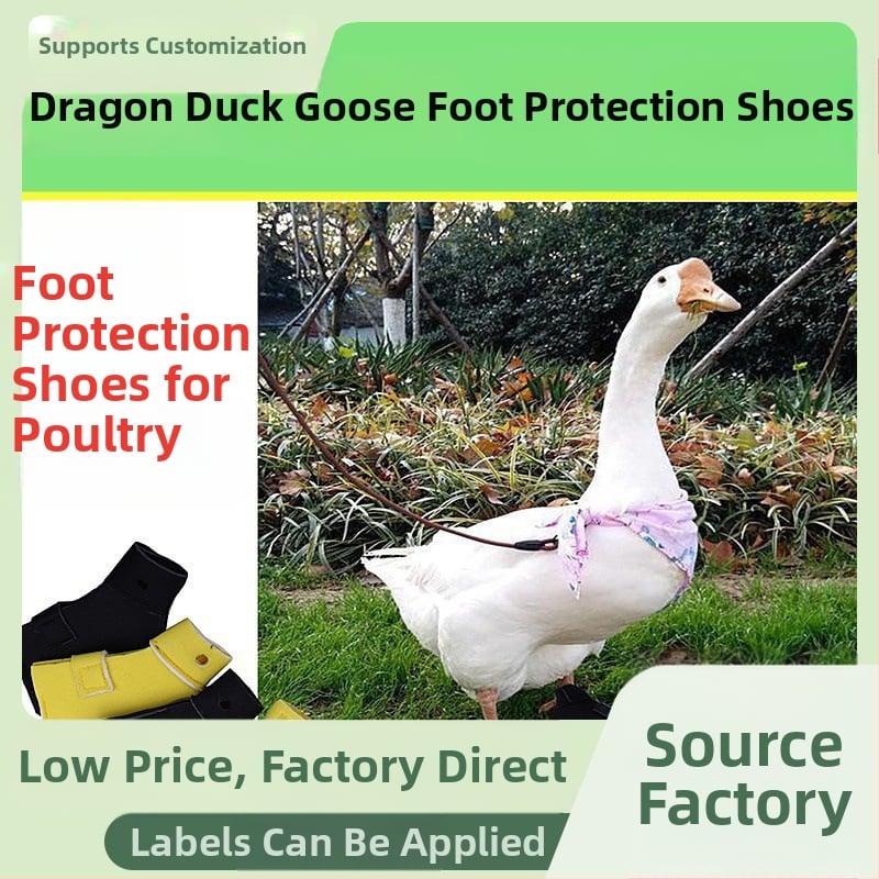 Topánky na ochranu labiek pre kačice a husy – nylon, vonkajšie použitie, pôvod Šandong