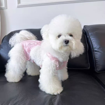 Fyzologické nohavice pre psy - polyester, casual štýl, XS1565, univerzálne použitie