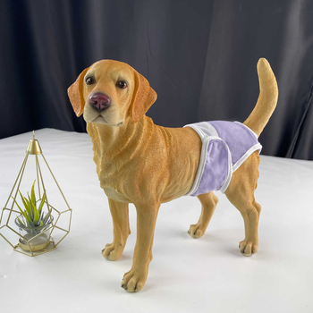 Psie menštruačné nohavice, polyester, voľný štýl, všeobecné použitie