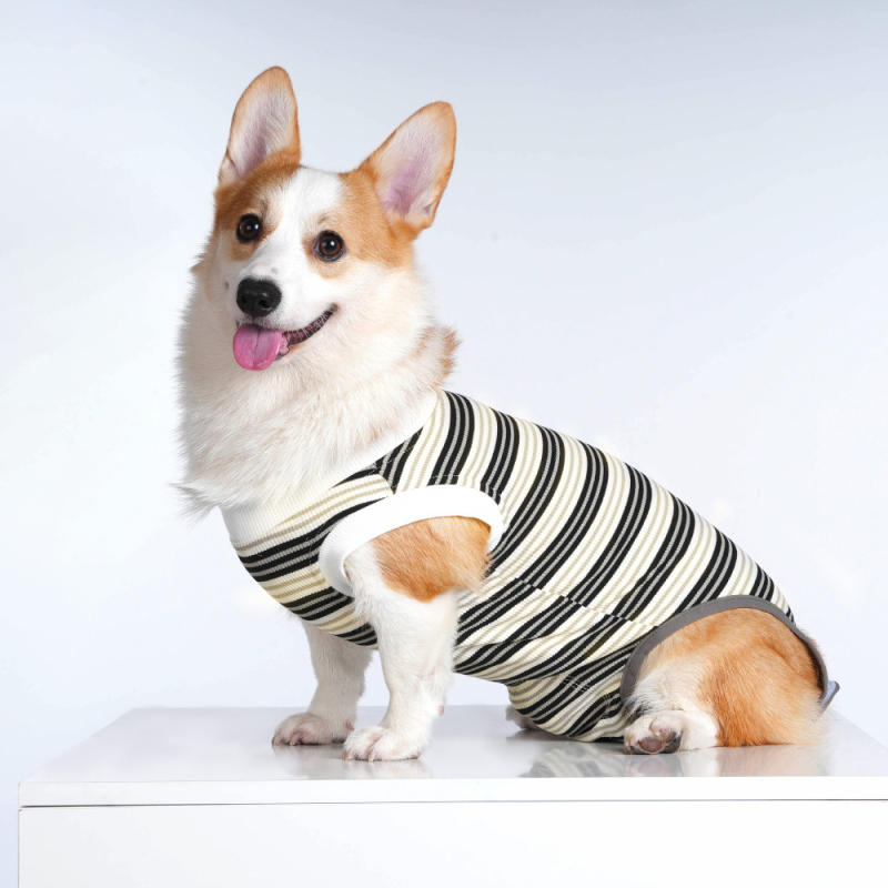 Sterilizačný oblek pre malé psy – priedušný polyester, unisex, pooperačné nohavice proti olizovaniu