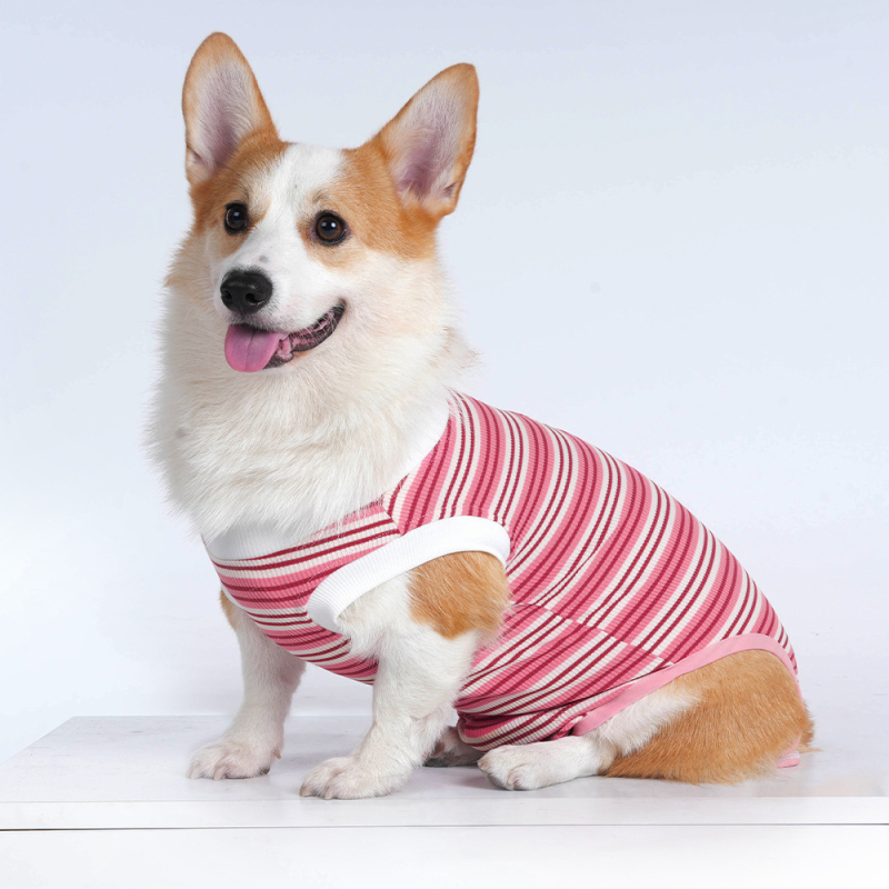 Sterilizačný oblek pre malé psy – priedušný polyester, unisex, pooperačné nohavice proti olizovaniu