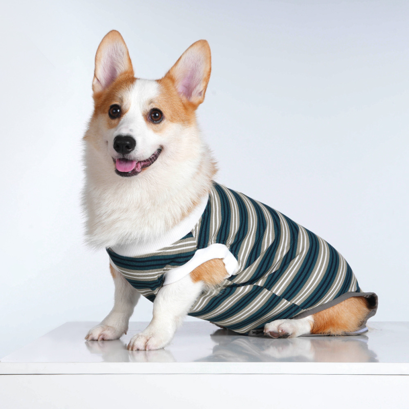 Sterilizačný oblek pre malé psy – priedušný polyester, unisex, pooperačné nohavice proti olizovaniu