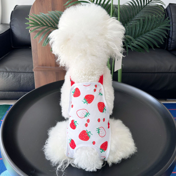 Aite Pet fyziologické nohavice pre fenku – polyester, štýl princezná, Medium Strawberry Physiological Pants