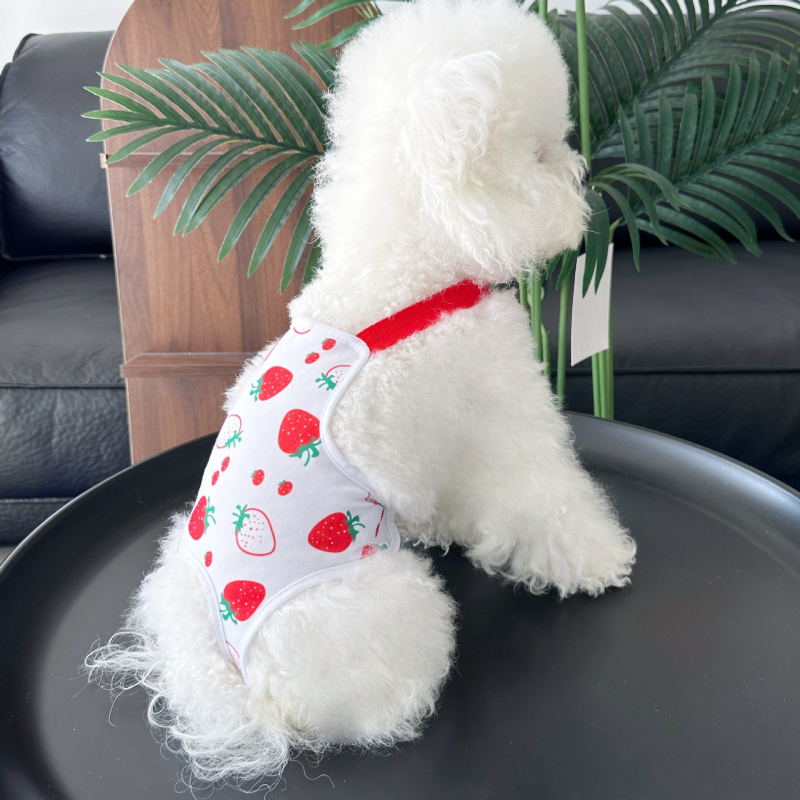 Aite Pet fyziologické nohavice pre fenku – polyester, štýl princezná, Medium Strawberry Physiological Pants