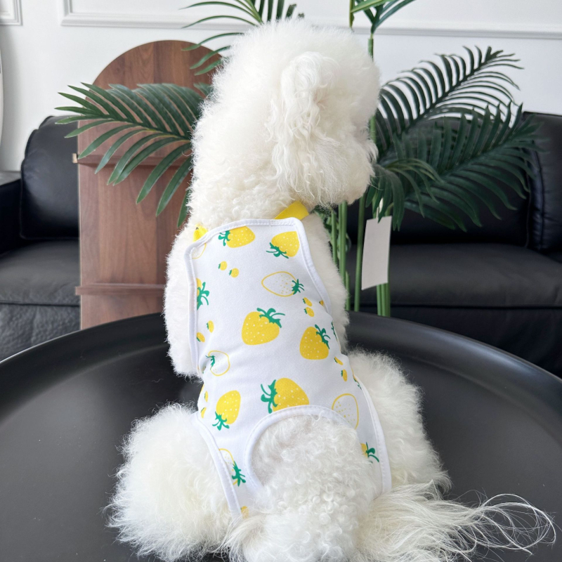 Aite Pet fyziologické nohavice pre fenku – polyester, štýl princezná, Medium Strawberry Physiological Pants