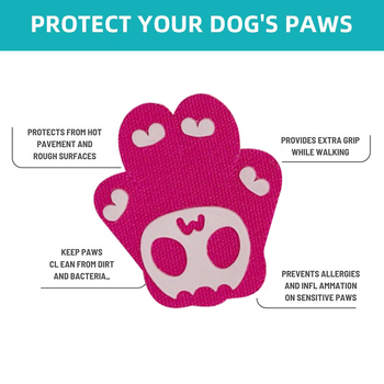 Lexuan psie topánky – protišmykové, vodeodolné a odolné voči opotrebeniu, silikon + textil