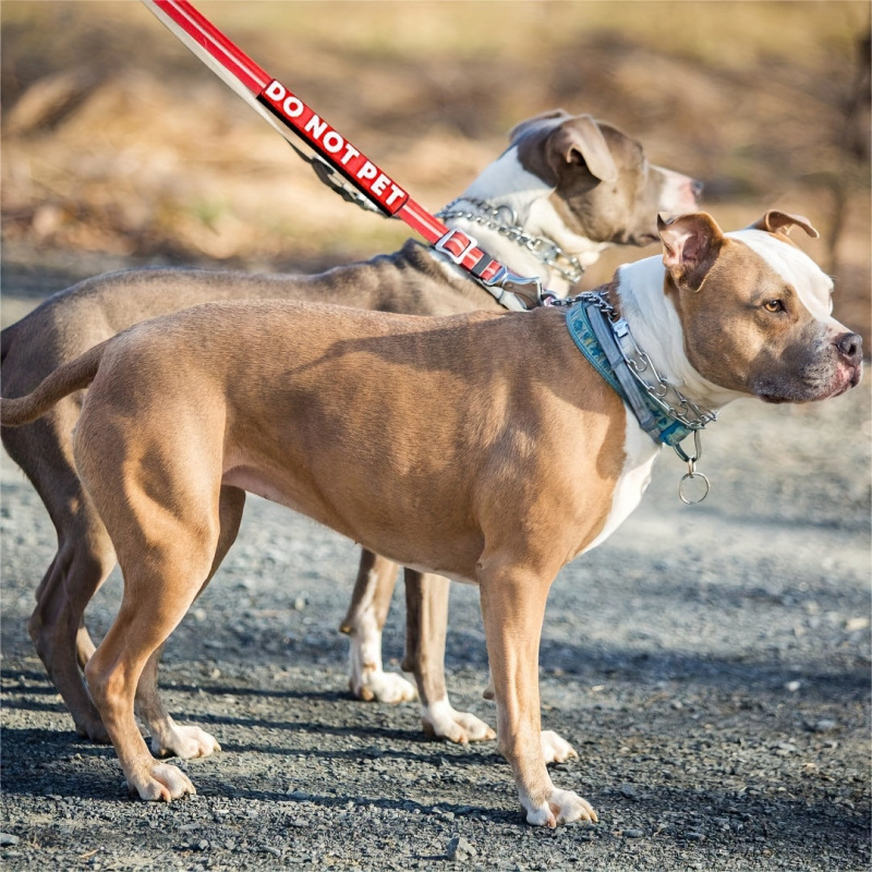 Obojky, vodítka a postroje pre domáce zvieratá — univerzálne použitie; plastový materiál; exkluzívny zdroj cezhraničného exportu