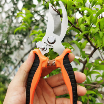 Tan Xiaochu Záhradné rezné nožnice na konáre a kvety, rezné nožnice na ovocné stromy, vonkajší záhradný set