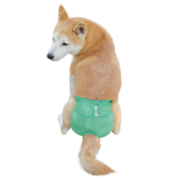 Kailina priedušné sieťové nohavice pre psov – fyziologické nohavice so suchým zipsom, nastaviteľný pás, pre fenku