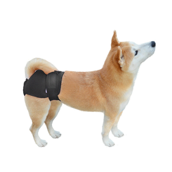 Kailina priedušné sieťové nohavice pre psov – fyziologické nohavice so suchým zipsom, nastaviteľný pás, pre fenku