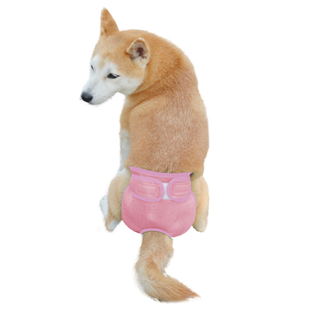 Kailina priedušné sieťové nohavice pre psov – fyziologické nohavice so suchým zipsom, nastaviteľný pás, pre fenku