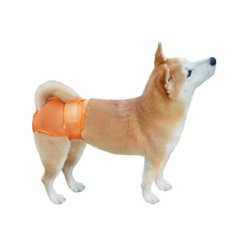 Kailina priedušné sieťové nohavice pre psov – fyziologické nohavice so suchým zipsom, nastaviteľný pás, pre fenku