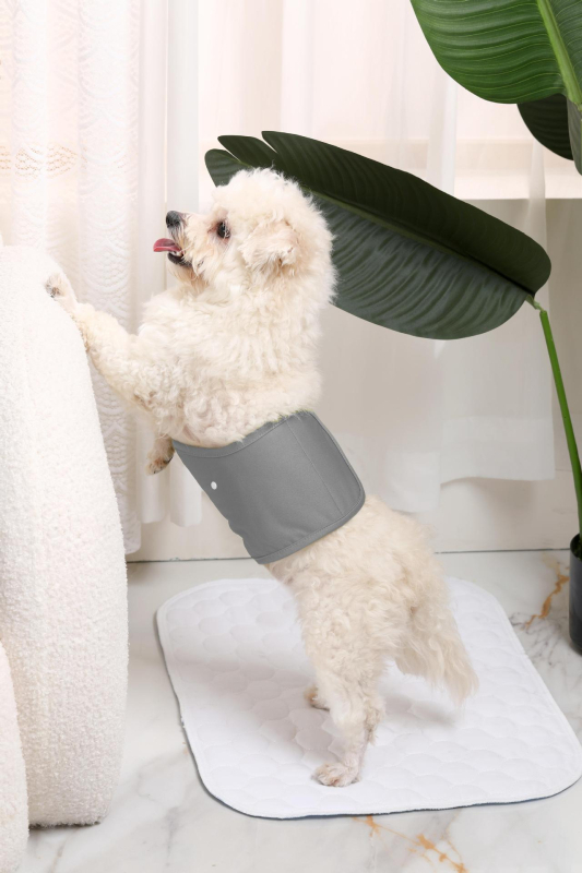 Tréninkové nohavice pre malé psy, priedušné a netekúce, vymeniteľné plienky s prackou, fyziologické nohavice (Materiál: Polyester; Kategória produktu: Menštruačné nohavice; Štýl: Voľný čas; Značka: Bablonrabi)