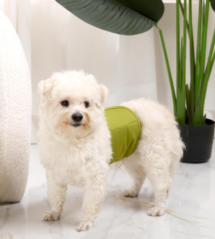 Tréninkové nohavice pre malé psy, priedušné a netekúce, vymeniteľné plienky s prackou, fyziologické nohavice (Materiál: Polyester; Kategória produktu: Menštruačné nohavice; Štýl: Voľný čas; Značka: Bablonrabi)