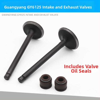 Motocykelový ventil Mojielong GY6 MOTUOCHE