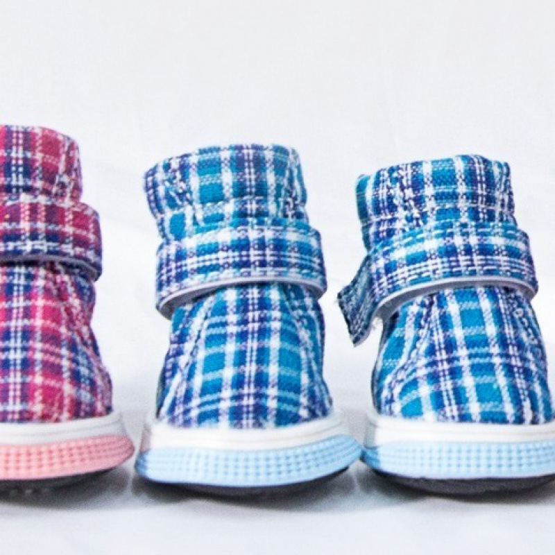 Topánky pre psov, nepromokavé a protišmykové, materiál: zliatina