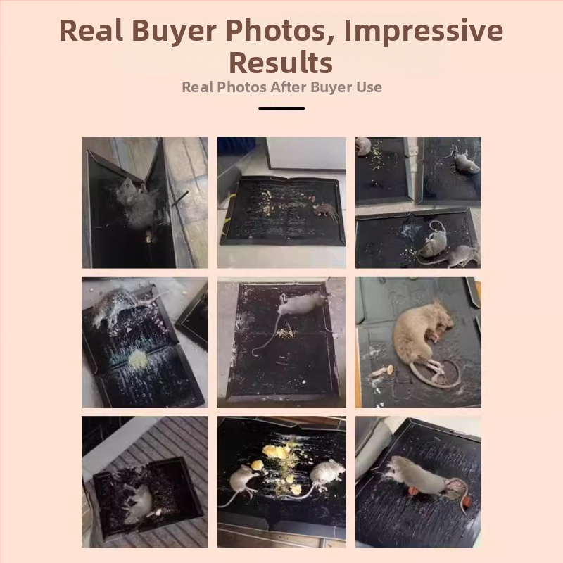 Rodenticid/insekticid — pastová lepivá pasca na myši, Fyyp-gg570, mierne toxická, bez vône