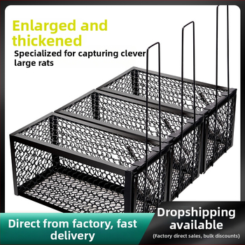 Pasca na myši, pevnú konštrukciu, stredný model, netoxická, balenie 50 kusov