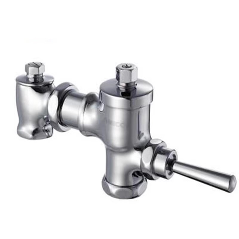 Veľký splachovací ventil na bidet s oneskoreným stlačením tlačidla, AMICO BD11, mosadz, DN25, 0,6 MPa