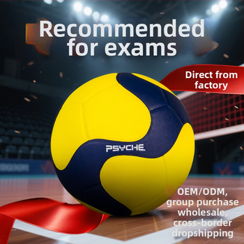 Tinklinio kamuolys (PU medžiaga, klijuotas siuvimas, vidaus žaidimams skirtas kamuolys, logotipo spausdinimas galima, produkto kodas V5001)