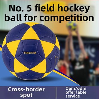 Korfbalo treniravimo kamuolys – PSYCHE prekės ženklas, PU medžiaga, klijuotos siūlės, vidaus varžybų kamuolys, individualizavimas