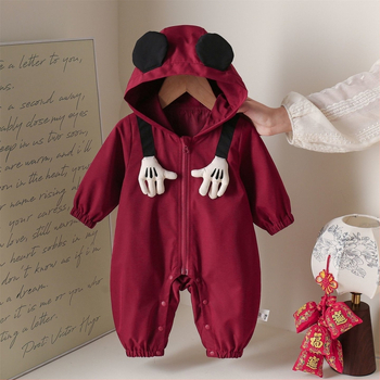 Kūdikių su gobtuvu vienos dalies kombinezonas – ilgos rankovės, pavasaris-rudenis, užtrauktukas, amžius 1–3 metai