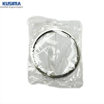 Dugattytų žiedas Land Rover 3.0T dyzeliniam varikliui — Ø84 mm, 3 žiedai, sujungtas žiedas, baro formos skerspjūvis LR041639