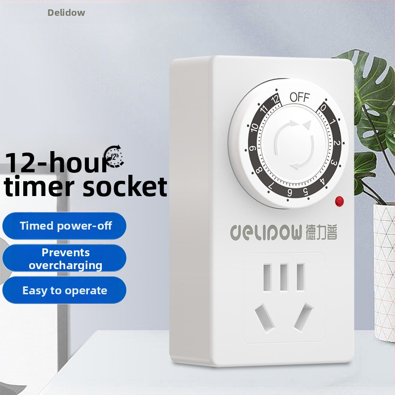 Delip Laikmačio kištukinis lizdas vandens siurbliui ir elektriniam transportui – CCC sertifikuotas, laikmačio funkcija