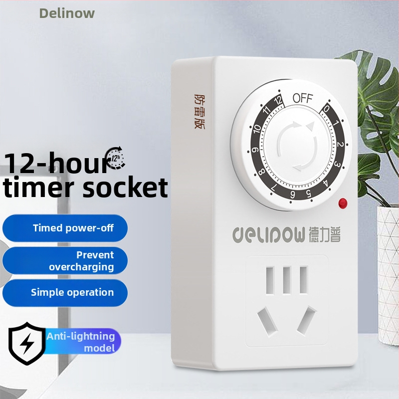 Delip Laikmačio kištukinis lizdas vandens siurbliui ir elektriniam transportui – CCC sertifikuotas, laikmačio funkcija