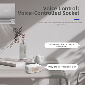 WiFi išmanioji kištukinė lizda su nuotoliniu valdymu per telefoną, laikmačiu ir balso valdymu (110-240V)