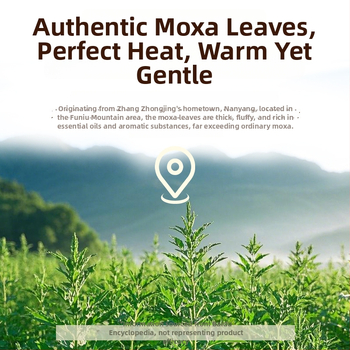 Ai Chuang elektrické zohrievacie ochranné rameno a šija s Mugwort teplým kompresom pre zdravotnú masáž