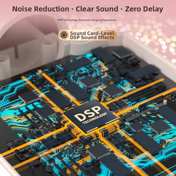 Juhtmega kodukaraoke mikrofon sisseehitatud akuga - 8W, 5V, 100Hz-20kHz, SNR ≥85dB, 1200-2000mAh