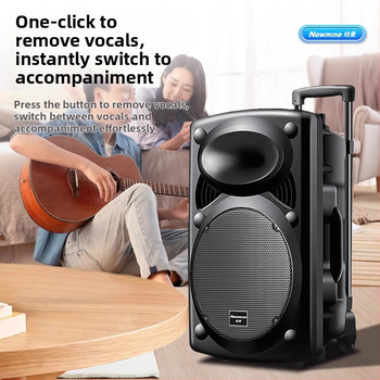 Neumann B12 Ārējais Karaoke skaļrunis, 2 skaļruņi, Bluetooth 5.0, iekšēja akumulatora jauda 2000–4000mAh, 30W